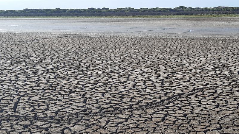 El parque de Doana registra su cifra ms baja de aves y una temperatura rcord en 2023