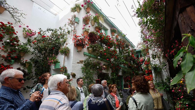 Los Patios de Crdoba abren sus puertas al pblico hasta el 18 de mayo con 52 recintos a concurso
